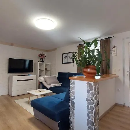 Apartment Roki *